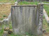 image number TNWELLRD 349